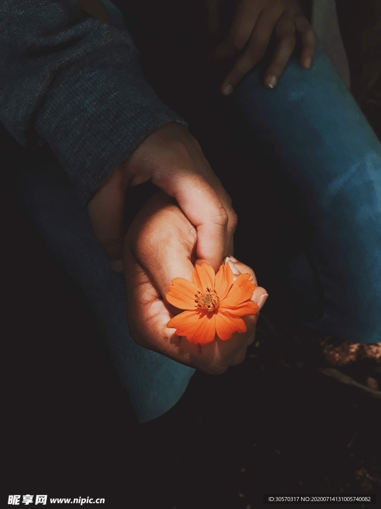 鲜花