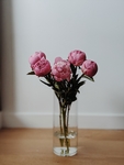鲜花