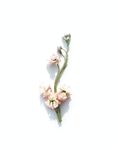 鲜花