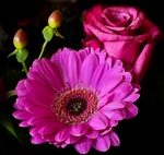 鲜花