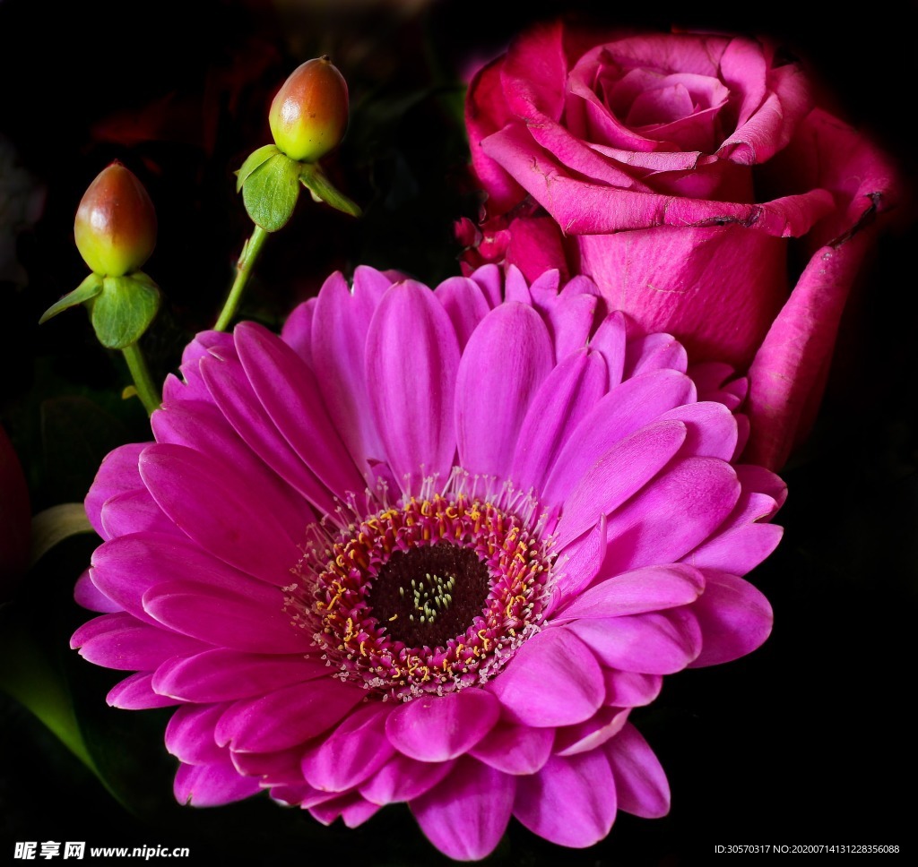 鲜花