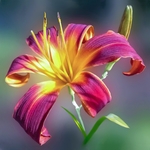 花
