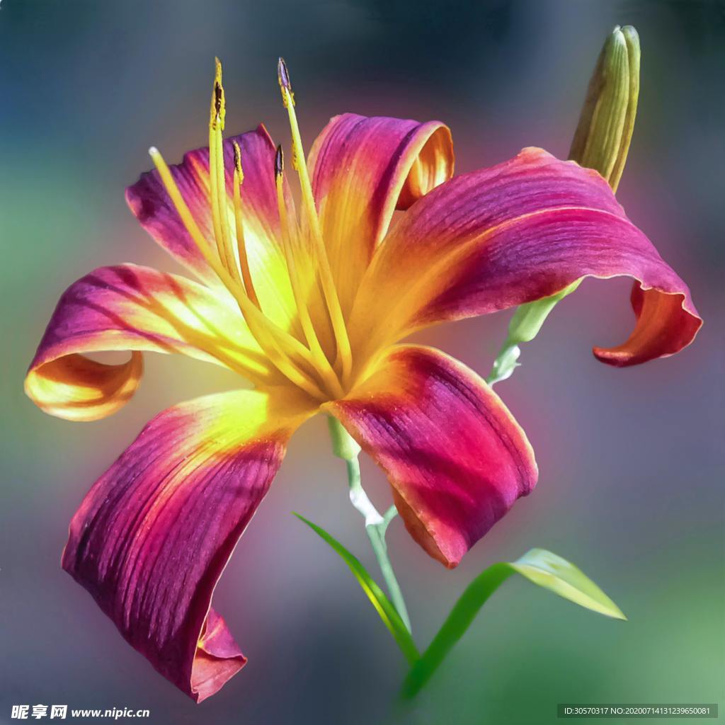 花