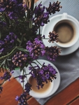 鲜花