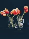 鲜花