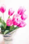 鲜花