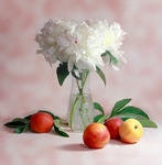 鲜花