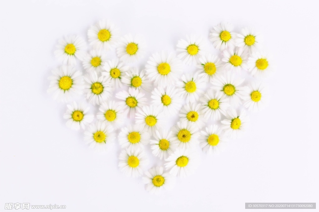 鲜花