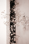 鲜花