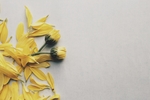 鲜花