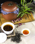 红茶 六垌贡茶 猫儿山茶