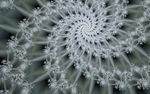 螺旋抽象花纹