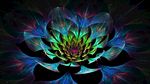 花发光