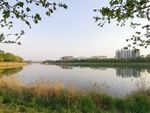 湿地公园风光