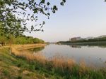 湿地公园风光