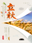 立秋海报
