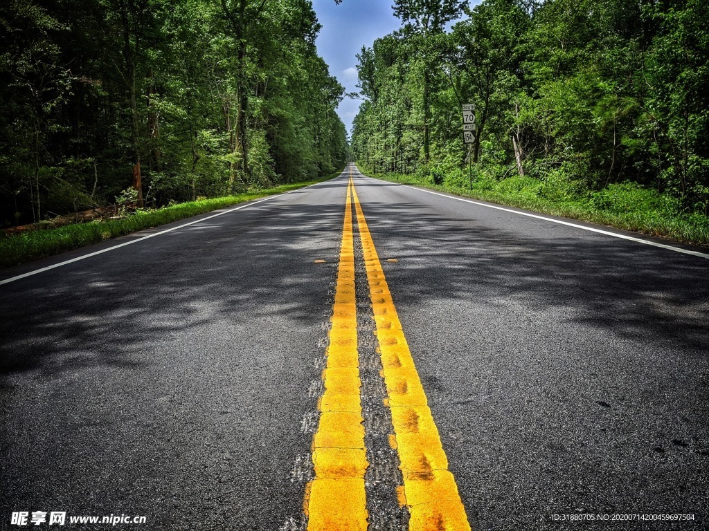 道路壁纸  高清 森林 景色