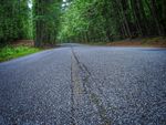 道路 森林道路  自然风景高清