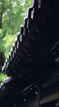 雨水