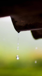 雨水