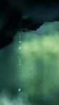 雨水