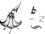 花纹 花边
