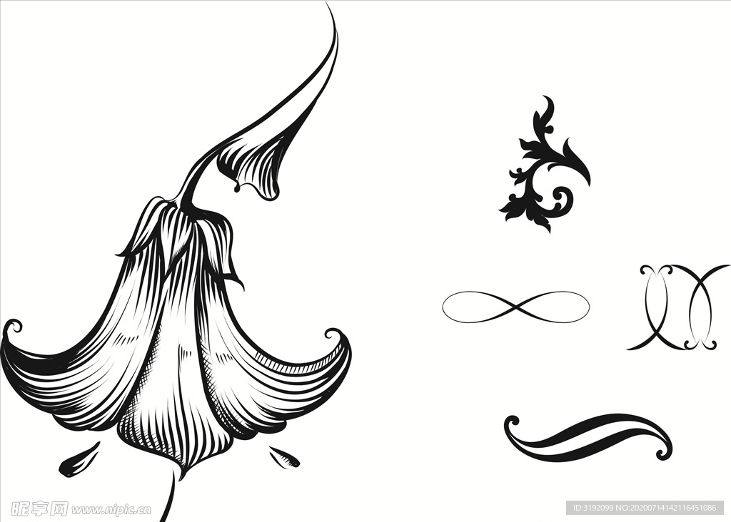 花纹 花边