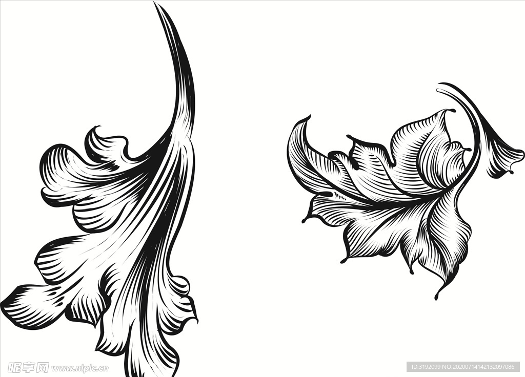 花纹 花边