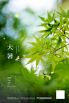 大暑