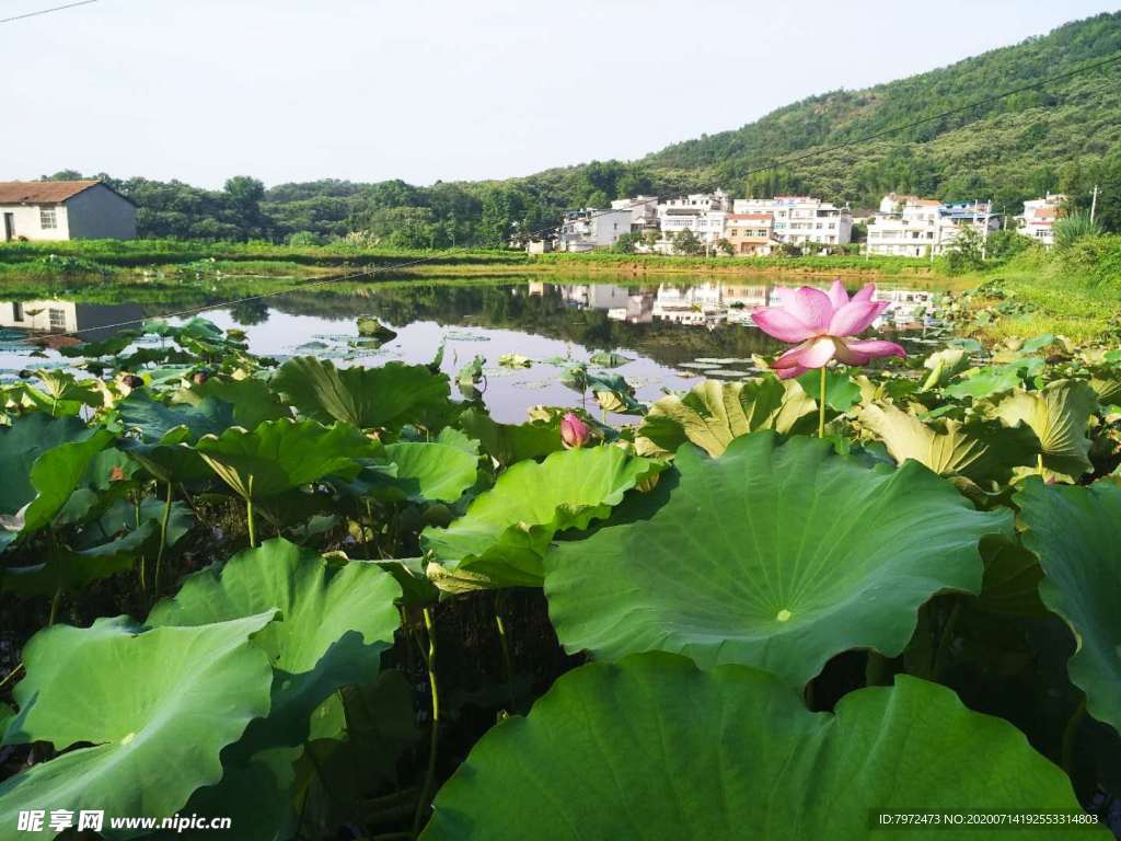 新农村