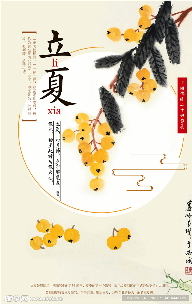 手绘枇杷