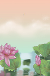 清凉一夏荷花海报
