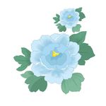 手绘花卉