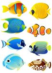 海洋生物集合