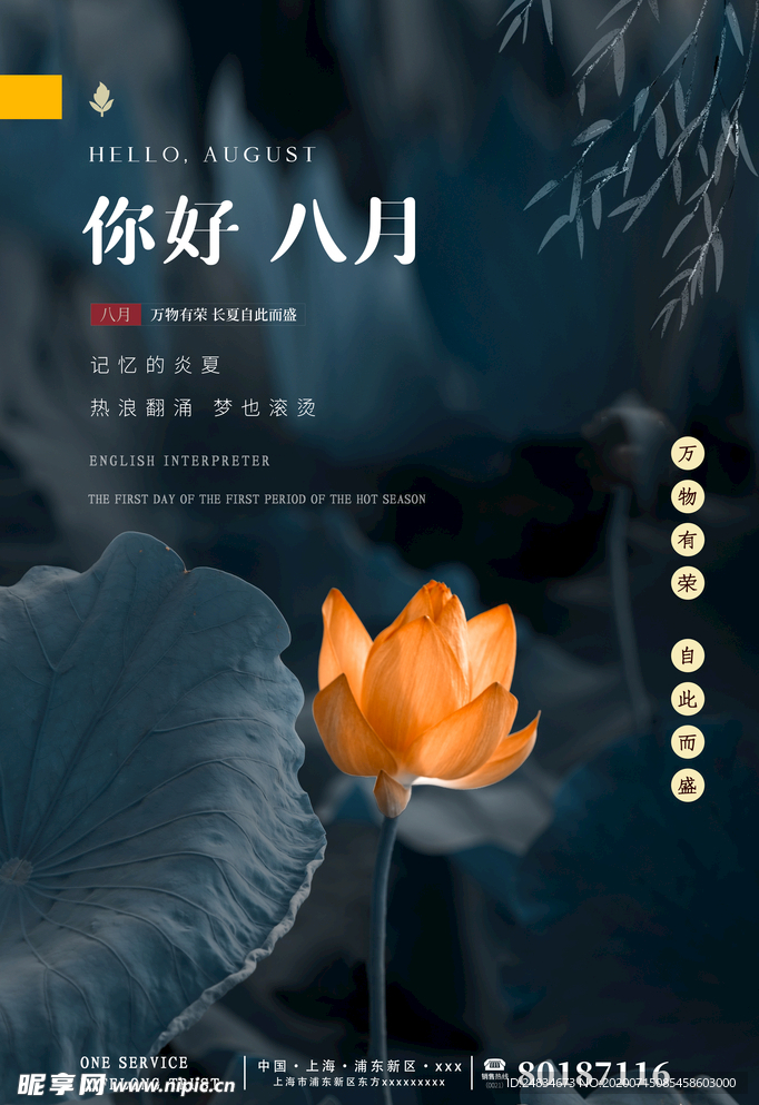 你好八月