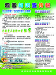 四害知识宣传栏