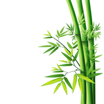 卡通竹子