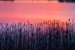 夕阳