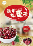 车厘子海报