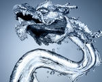 龙