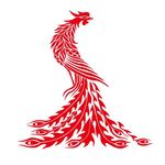 矢量孔雀