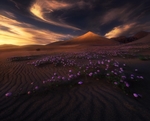 夕阳景观