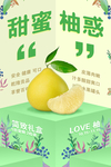 柚子水果新鲜活动海报