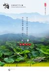 大暑海报