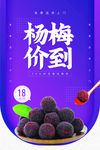 杨梅海报