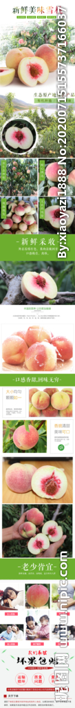 桃子详情