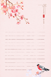 信纸