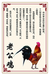 老公鸡简介