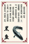 黑鱼简介