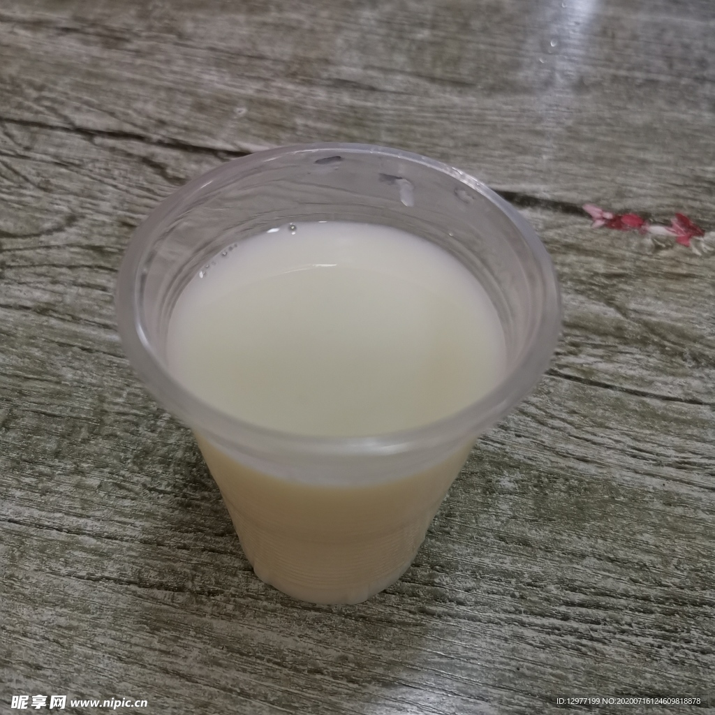 豆浆 一杯豆浆